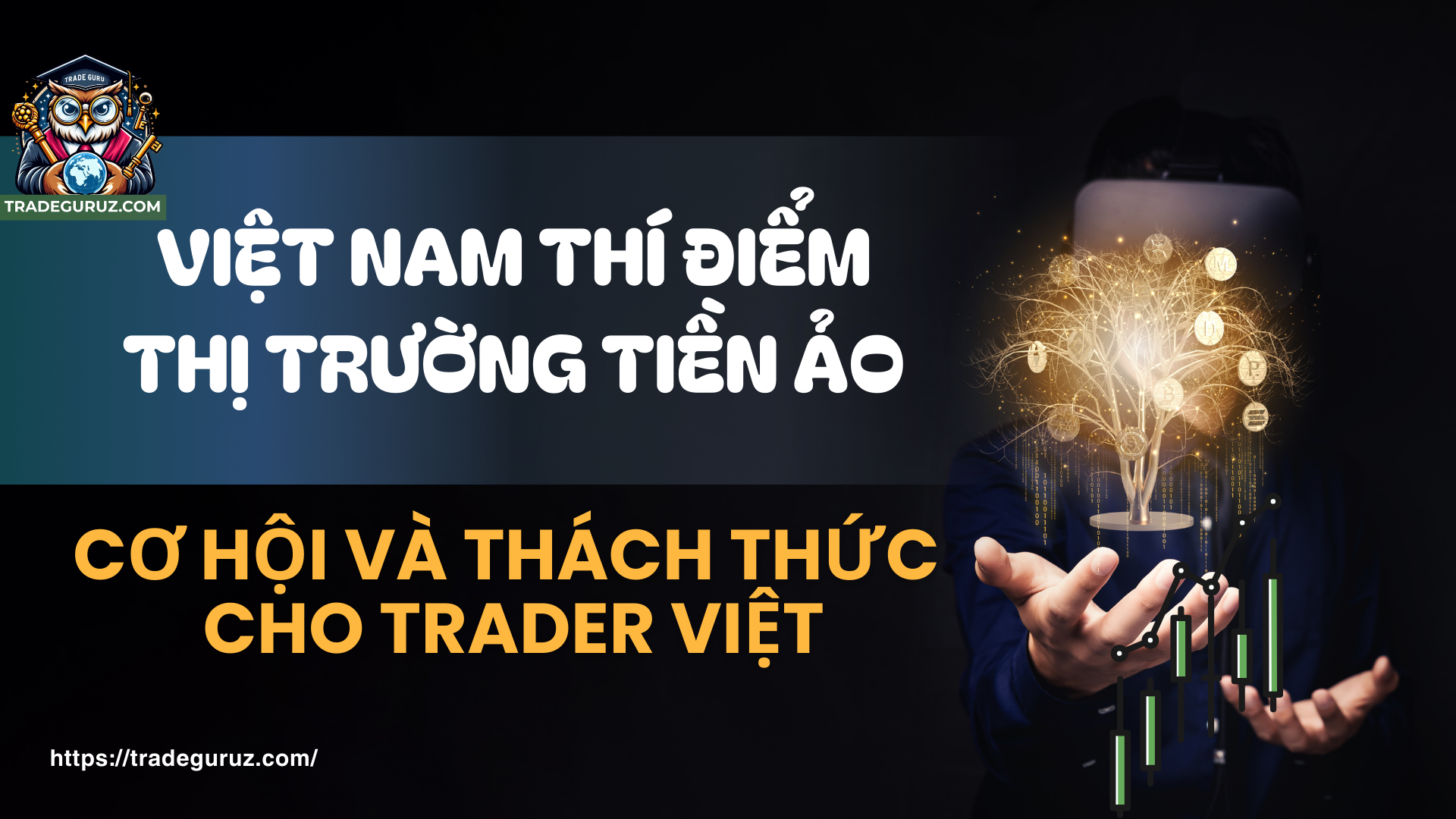 blog-image
